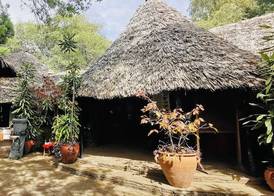 Fig Tree Camp 2