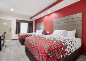 Regency Inn & Suites Humble FM1960 - IAH Airport 3