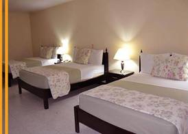 Hotel Excelsior 5