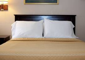 Timberlake Motel 5