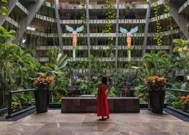 The Grand Oasis Cancun - All Inclusive 2