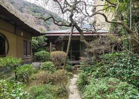 Yamagaso 3