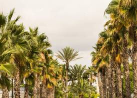 Camping Estival Vendrell Platja 4