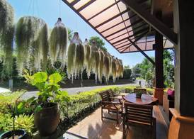 Mai Morn Resort SHA Plus 3
