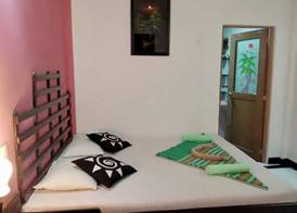 Lions Gate Homestay 3