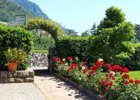 Guesthouse Pension Grafenstein 3