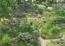 LA BASTIDE DES TEMPLIERS 4
