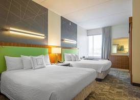 SpringHill Suites Tampa North/Tampa Palms 3