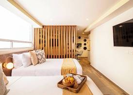 Grand Chapultepec Residencial 3