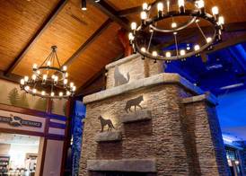 Great Wolf Lodge Illinois 2