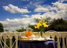 Hotel Alexander Palme 5