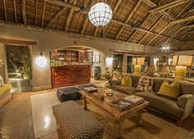 Thornybush Simbambili Lodge 5