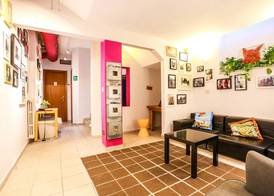 The Beehive Hostel 5