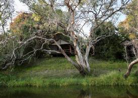Zambezi Dusk River Facing-all inclusive-Luxury Accommodation 3