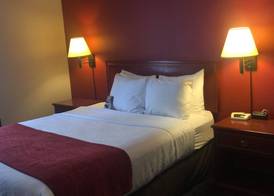 Comfort Inn & Suites University 5