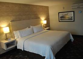 Holiday Inn Express TOLUCA by IHG 4