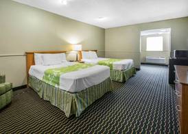 Rodeway Inn & Suites Winter Haven Chain of Lakes 5
