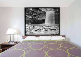 Super 8 by Wyndham Appomattox VA 5