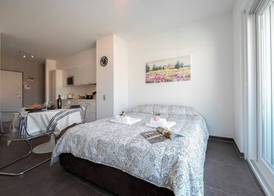 Via al Chioso Apartments 5