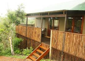 Misty Mountain Reserve 5