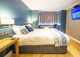 Dolphin Rooms 5