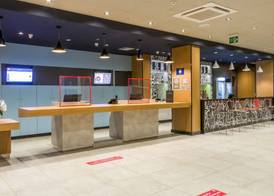 Ibis Americana 2