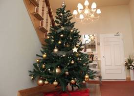 Hotel Villa Sommer 2