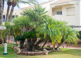 Aparthotel Villas La Manga 4