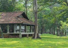 Habarana Village by Cinnamon 2