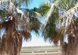 Oasi Relax 4