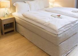 Cottage Rheingau Hotel 4
