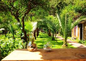 Likya Evleri Olympos 4