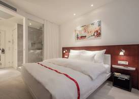 Ruby Marie Hotel Vienna by IHG 4