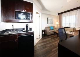 Holiday Inn & Suites WINDSOR (AMBASSADOR BRIDGE) by IHG 5