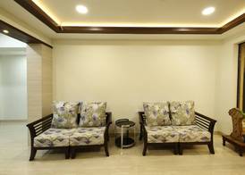 Areca Palms 3
