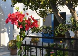 Dedalos Studios Naxos 2