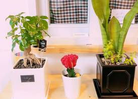 Sarang Guesthouse Dongdaemun 2