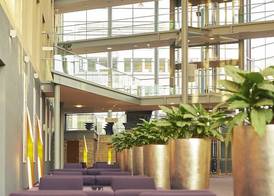 Dorint Hotel am Dom Erfurt 5
