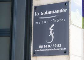 La Salamandre 2
