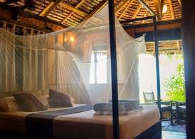 Rimba Resort - Dive Centre & Spa 3