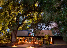 Lion Sands River Lodge 2