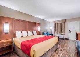 Econo Lodge Walterboro I-95 4