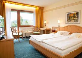 Wald Hotel Willingen 3