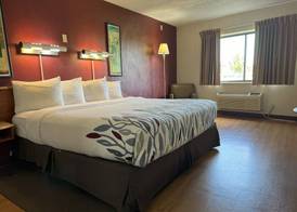 Sycamore Suites 5