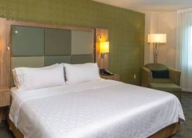 Holiday Inn Express & Suites CUERNAVACA by IHG 5