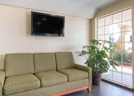 Quality Inn & Suites Crescent City Redwood Coast 3