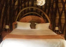 Phophonyane Falls Ecolodge 4