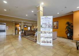 Microtel Inn & Suites by Wyndham Greenville/University Medic 3