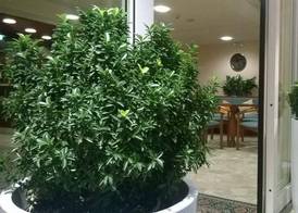 Hotel Condor 2
