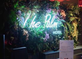 The Palm 2